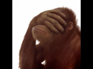 https://image.noelshack.com/fichiers/2020/17/4/1587634813-facepalmorangflipped.png