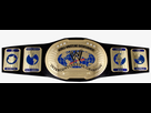 https://image.noelshack.com/fichiers/2020/17/5/1587680392-163-1632812-intercontinental-championship-oval-wwe-intercontinental-championship-replica-title.jpeg