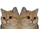 https://image.noelshack.com/fichiers/2020/18/2/1588031163-61978-full.png