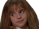 https://image.noelshack.com/fichiers/2020/18/3/1588176607-1572389273-hermione-qui-recadre-ta-betise-sans-precedant.png