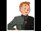 https://image.noelshack.com/fichiers/2020/18/5/1588330196-tintin.png