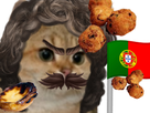 https://image.noelshack.com/minis/2020/18/5/1588347874-photogrid-1588347844991.png