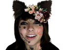 https://image.noelshack.com/fichiers/2020/18/6/1588425736-boxxy-tatoo-cat-ears-fleur.png