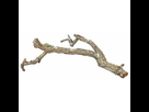 https://image.noelshack.com/fichiers/2020/18/7/1588465220-une-branche-de-liege-76409-une-branche-de-lieg.jpg