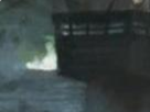 https://image.noelshack.com/fichiers/2020/19/3/1588777095-25-48plgqme.png