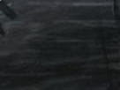 https://image.noelshack.com/fichiers/2020/19/3/1588777097-52-48plgqme.png