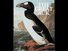 https://www.noelshack.com/2020-19-6-1589033736-the-great-auk.jpg