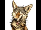 https://image.noelshack.com/minis/2020/19/6/1589041283-20.png