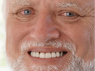 https://image.noelshack.com/fichiers/2020/20/1/1589218259-1485573063-harold.png
