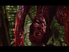 https://image.noelshack.com/fichiers/2020/20/3/1589405996-predator-hopper.jpg