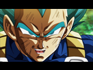 https://image.noelshack.com/fichiers/2020/20/5/1589577216-fierte-de-vegeta.jpg