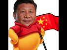 https://image.noelshack.com/fichiers/2020/20/5/1589579995-winnie-xi.png