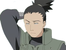 https://image.noelshack.com/fichiers/2020/20/6/1589583485-shikamaru2.png