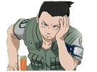 https://image.noelshack.com/fichiers/2020/20/6/1589583530-shikamaru3.png