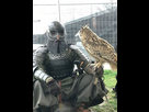https://image.noelshack.com/minis/2020/20/6/1589664742-a867227ca43f5fbbf9c210e5a010c5f5.png