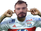 https://image.noelshack.com/minis/2020/21/7/1590356751-pommedordepay.png