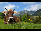https://image.noelshack.com/fichiers/2020/22/3/1590584506-activites-haute-savoie.jpg