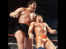 https://image.noelshack.com/fichiers/2020/22/5/1590746627-andre-and-macho-manb-8fdb6f996fc8ed19e4181f8081e3eb23.jpg