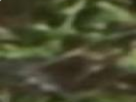 https://image.noelshack.com/fichiers/2020/22/5/1590785572-41-4bu4ly4w.png