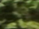 https://image.noelshack.com/fichiers/2020/22/5/1590785574-67-4bu4ly4w.png