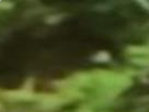https://image.noelshack.com/fichiers/2020/22/5/1590785575-68-4bu4ly4w.png