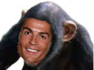 https://image.noelshack.com/fichiers/2020/22/7/1590946654-ronaldo-singe.jpg