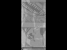 https://image.noelshack.com/fichiers/2020/23/2/1591101591-cusd8kawg4o0aaaaaelftksuqmcc.png