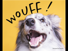 https://image.noelshack.com/fichiers/2020/23/3/1591187385-sans-titre-2.png