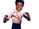 https://image.noelshack.com/fichiers/2020/23/4/1591286856-ronaldo-bruce-lee.png