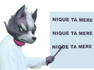 https://image.noelshack.com/fichiers/2020/23/4/1591289723-wolf-38.png