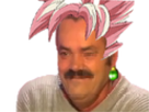 https://image.noelshack.com/fichiers/2020/24/2/1591670635-zamasuristas.png