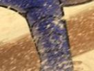 https://image.noelshack.com/fichiers/2020/24/2/1591706666-55-8v90roqa.png
