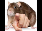 https://image.noelshack.com/fichiers/2020/24/2/1591718866-15901257167380.png