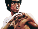 https://image.noelshack.com/fichiers/2020/24/5/1591969032-bruce-lee.png