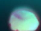 https://image.noelshack.com/fichiers/2020/25/4/1592434313-17-sle0d5yy.png