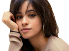 https://image.noelshack.com/fichiers/2020/25/4/1592497171-camila-cute.png