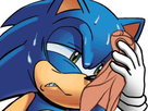 https://image.noelshack.com/fichiers/2020/25/5/1592535419-sonic-sueur.png