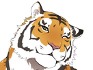 https://image.noelshack.com/minis/2020/25/5/1592573011-img-20200619-151806.png