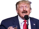 https://image.noelshack.com/minis/2020/25/7/1592761387-trumprisitas.png