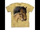 https://image.noelshack.com/fichiers/2020/26/1/1592829921-tee-shirt-cheval-tendresse.jpg