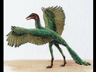 https://image.noelshack.com/minis/2020/26/2/1592916579-archaeopteryx.png