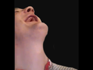 https://image.noelshack.com/minis/2020/26/2/1592931942-fghj.png