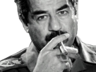 https://image.noelshack.com/fichiers/2020/26/3/1592952865-saddam-cigare.png
