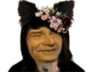 https://image.noelshack.com/fichiers/2020/26/4/1593117290-1588453419-boxxy-tatoo-cat-ears-fleur-alicia.png