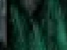 https://image.noelshack.com/fichiers/2020/26/5/1593200726-11-due9nbcw.png
