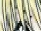 https://image.noelshack.com/fichiers/2020/26/5/1593200730-29-due9nbcw.png