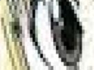 https://image.noelshack.com/fichiers/2020/26/5/1593200732-37-due9nbcw.png