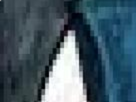 https://image.noelshack.com/fichiers/2020/26/5/1593200735-57-due9nbcw.png