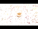 https://image.noelshack.com/fichiers/2020/26/5/1593206095-df06a68a46142b5988752be0b6f8fd7e.gif
