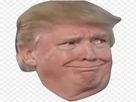 https://image.noelshack.com/fichiers/2020/26/6/1593220241-trumpsurpris.png